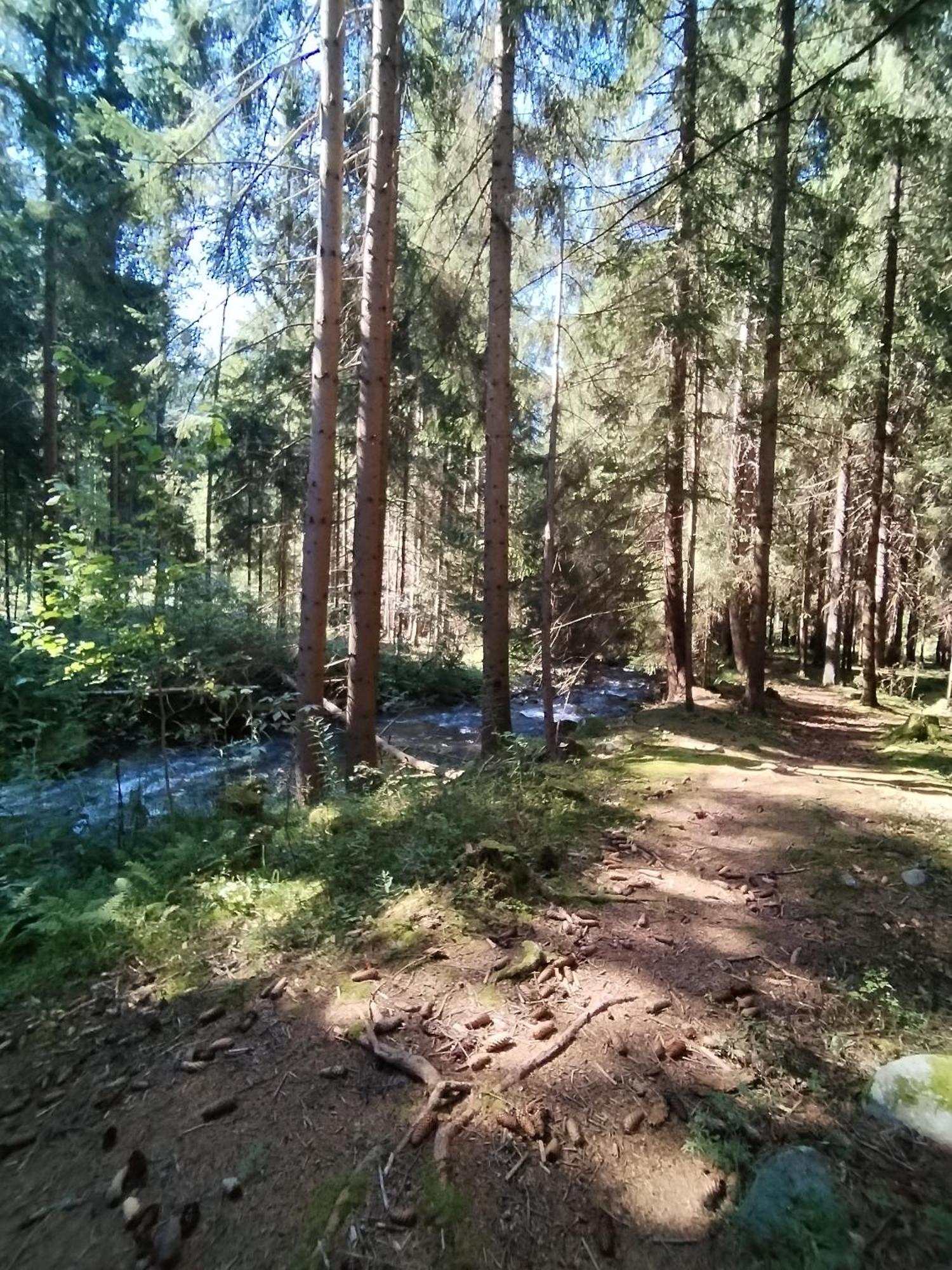 Penzion Real Žiar Екстериор снимка